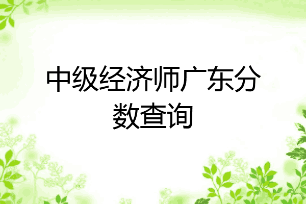 中级经济师广东分数查询