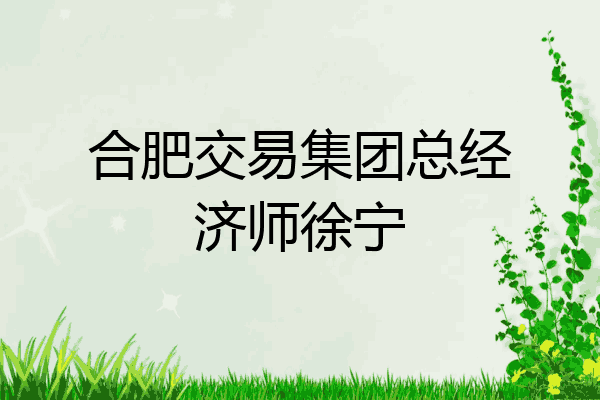 合肥交易集团总经济师徐宁