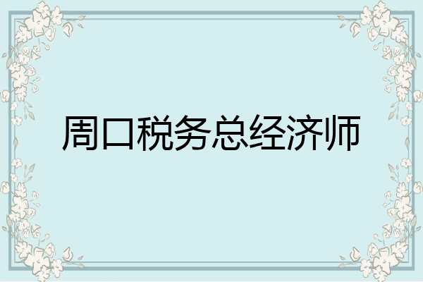 周口税务总经济师