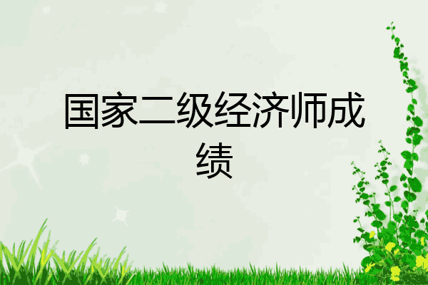 国家二级经济师成绩