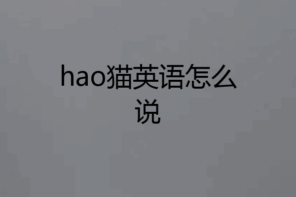 hao猫英语怎么说