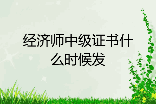经济师中级证书什么时候发