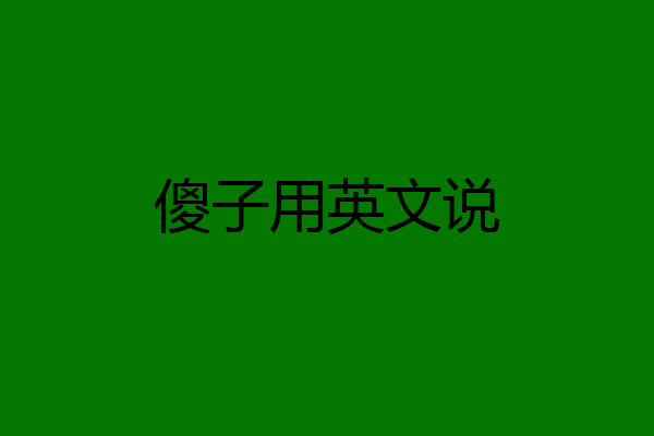傻子用英文说