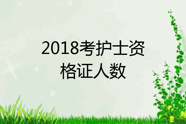 2018考护士资格证人数