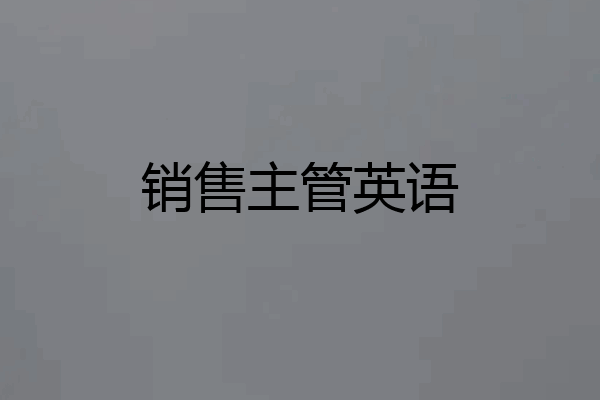 销售主管英语