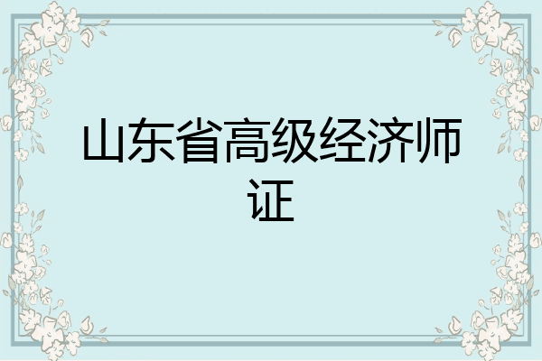 山东省高级经济师证