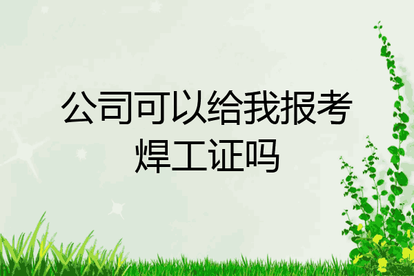 公司可以给我报考焊工证吗