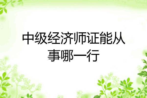 中级经济师证能从事哪一行