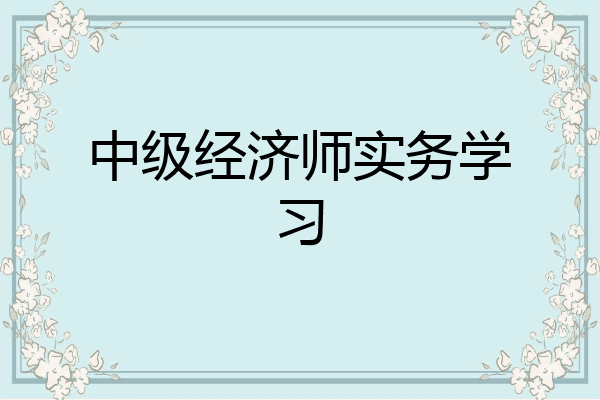 中级经济师实务学习