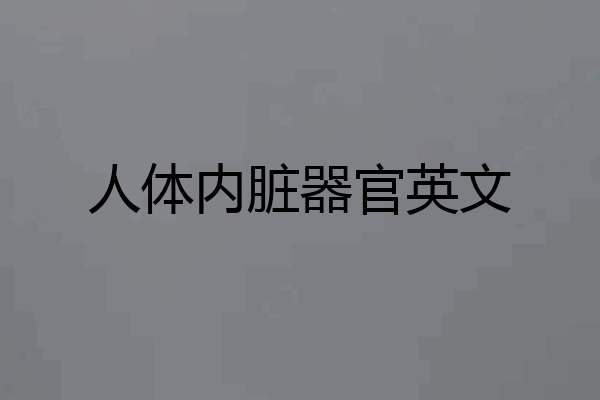 人体内脏器官英文