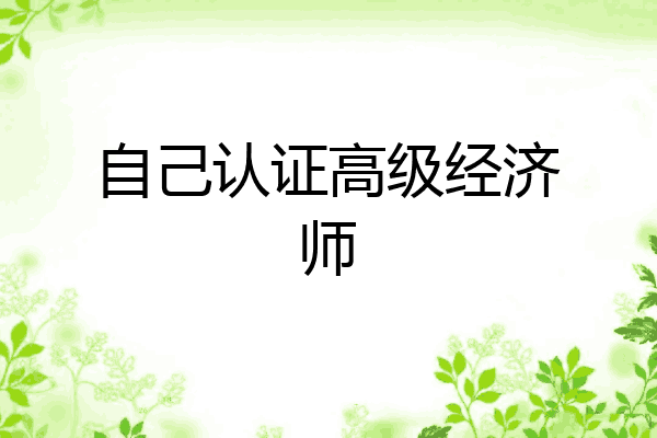 自己认证高级经济师