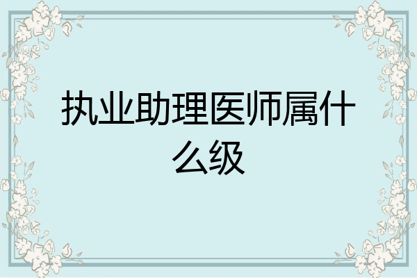 执业助理医师属什么级