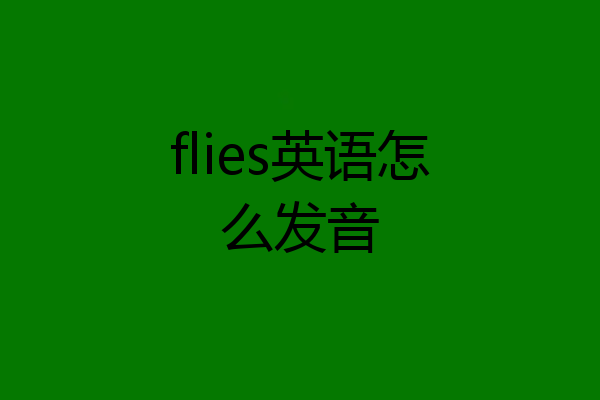 flies英语怎么发音