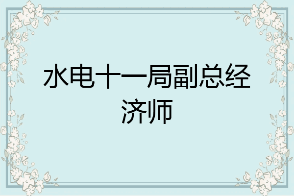 水电十一局副总经济师