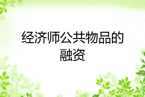 经济师公共物品的融资