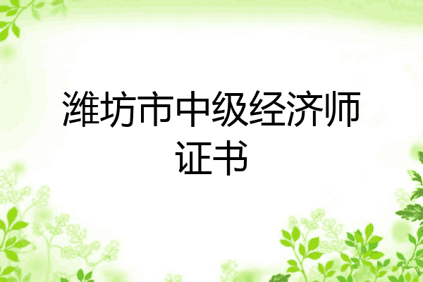 潍坊市中级经济师证书
