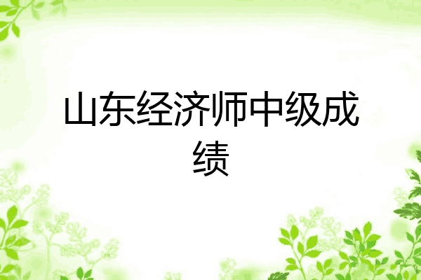 山东经济师中级成绩