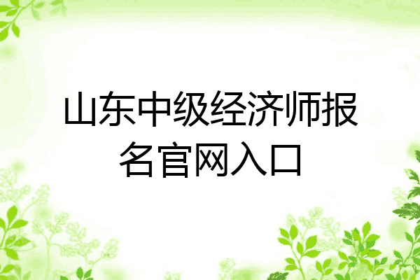 山东中级经济师报名官网入口