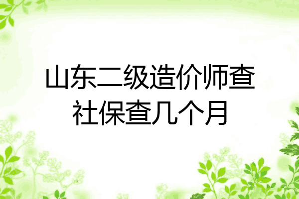 山东二级造价师查社保查几个月