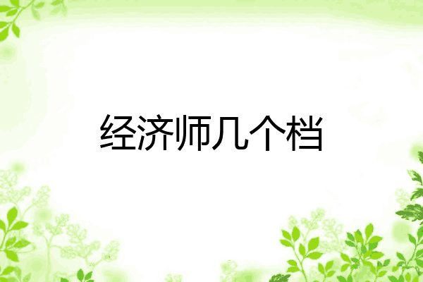 经济师几个档
