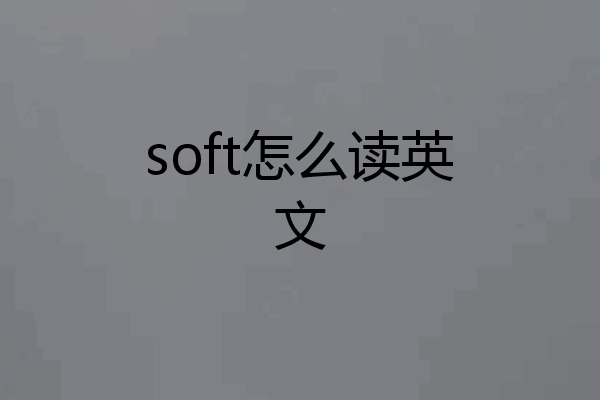soft怎么读英文