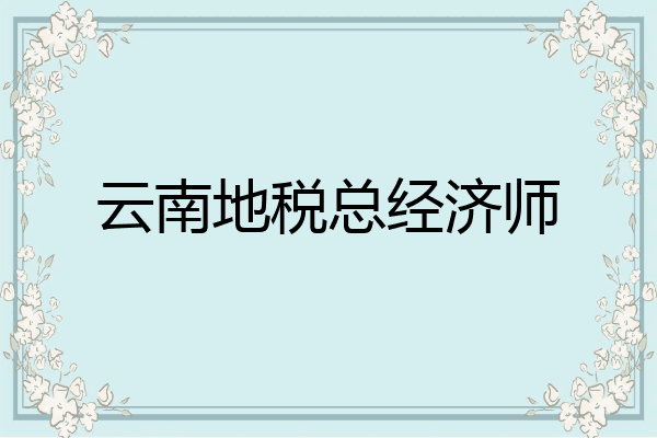 云南地税总经济师