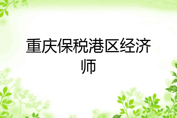 重庆保税港区经济师