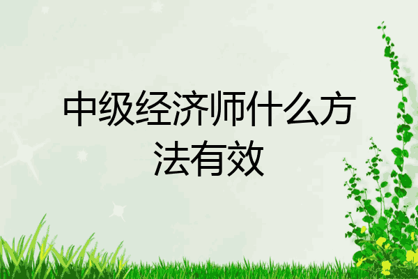 中级经济师什么方法有效