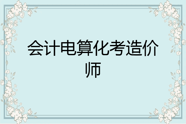 会计电算化考造价师