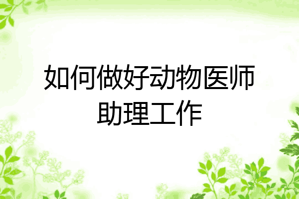 如何做好动物医师助理工作