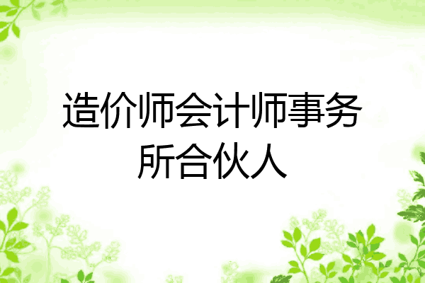 造价师会计师事务所合伙人