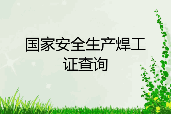国家安全生产焊工证查询