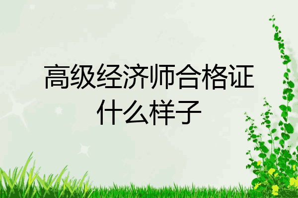 高级经济师合格证什么样子