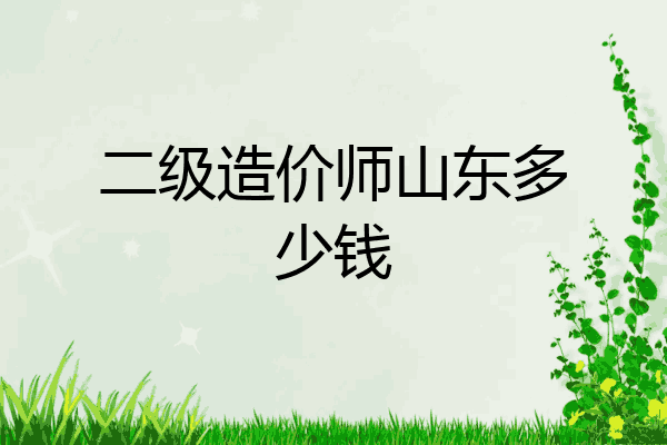 二级造价师山东多少钱