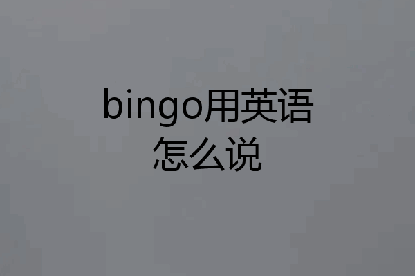 bingo用英语怎么说