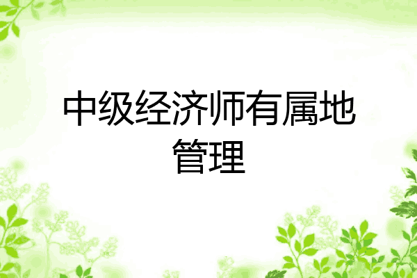 中级经济师有属地管理