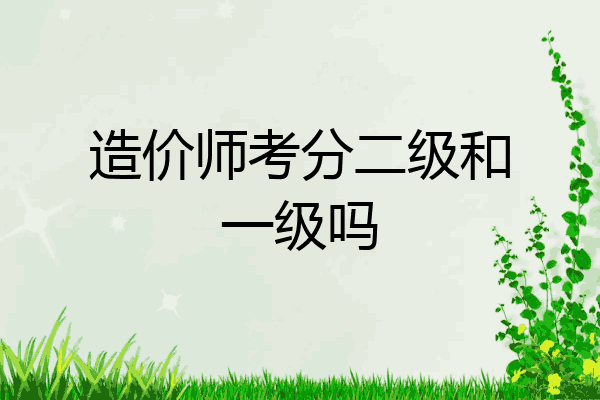 造价师考分二级和一级吗