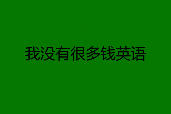 我没有很多钱英语
