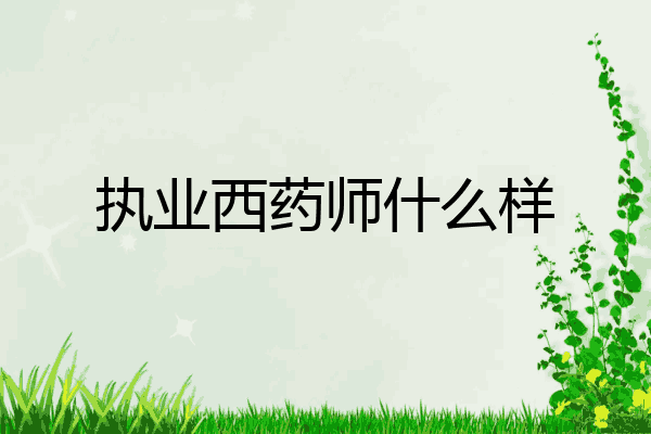 执业西药师什么样