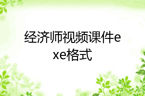 经济师视频课件exe格式