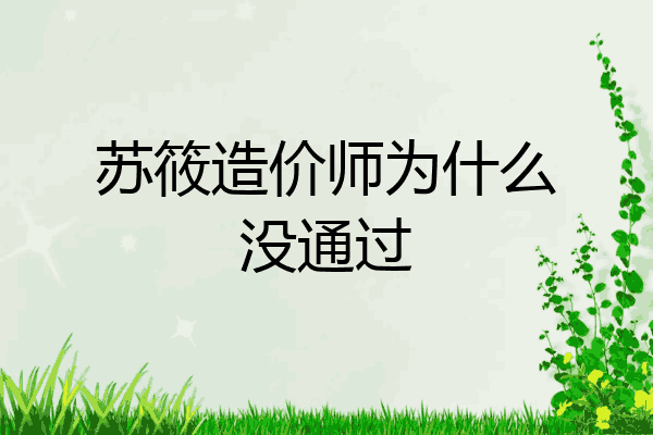 苏筱造价师为什么没通过