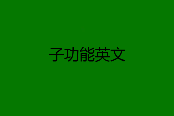子功能英文