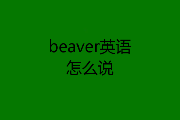 beaver英语怎么说