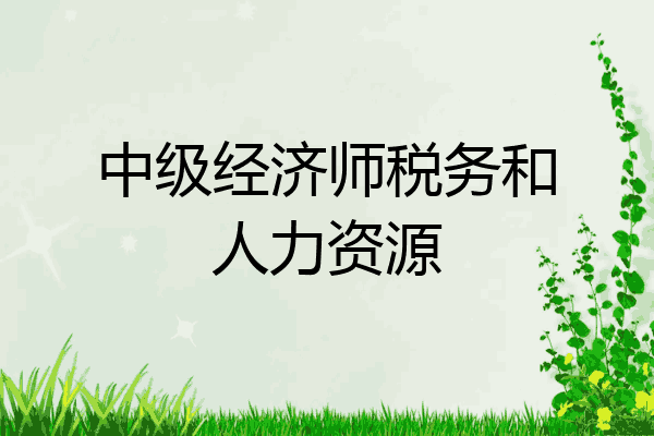 中级经济师税务和人力资源