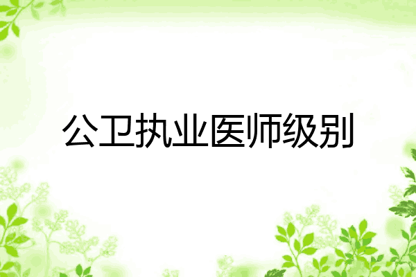 公卫执业医师级别