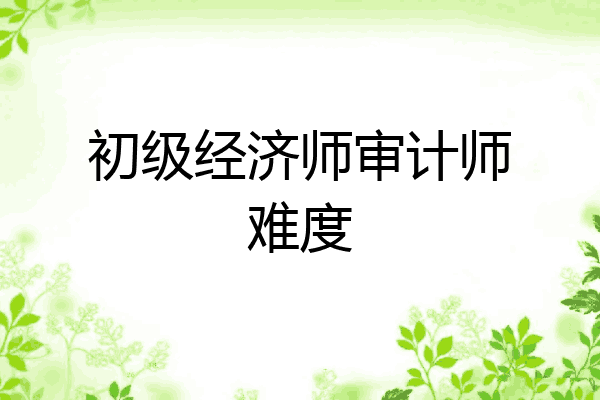 初级经济师审计师难度
