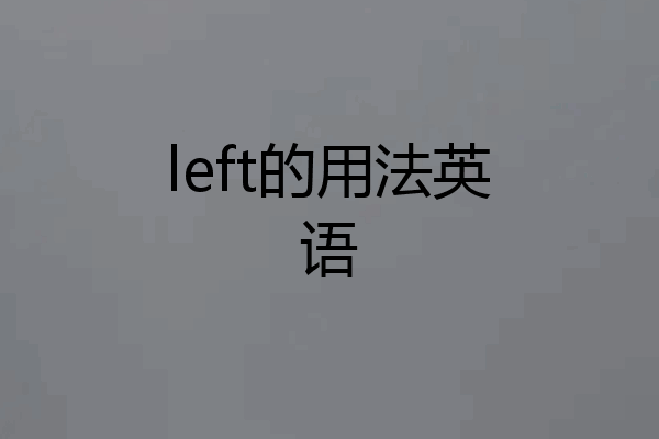 left的用法英语