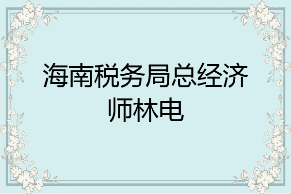 海南税务局总经济师林电