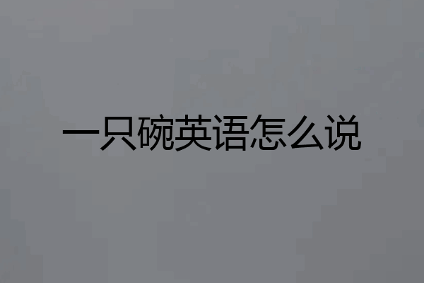 一只碗英语怎么说