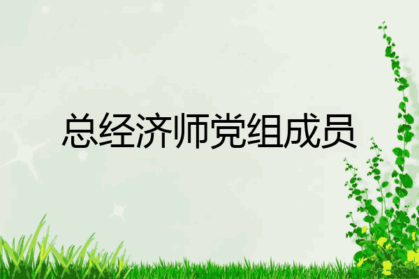 总经济师党组成员